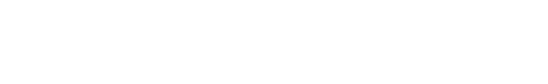 Technobrid
