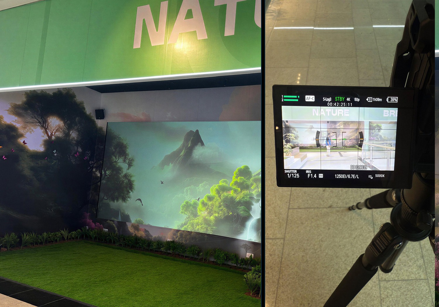 Live Environmental Calibration — Luminance & Color Matching